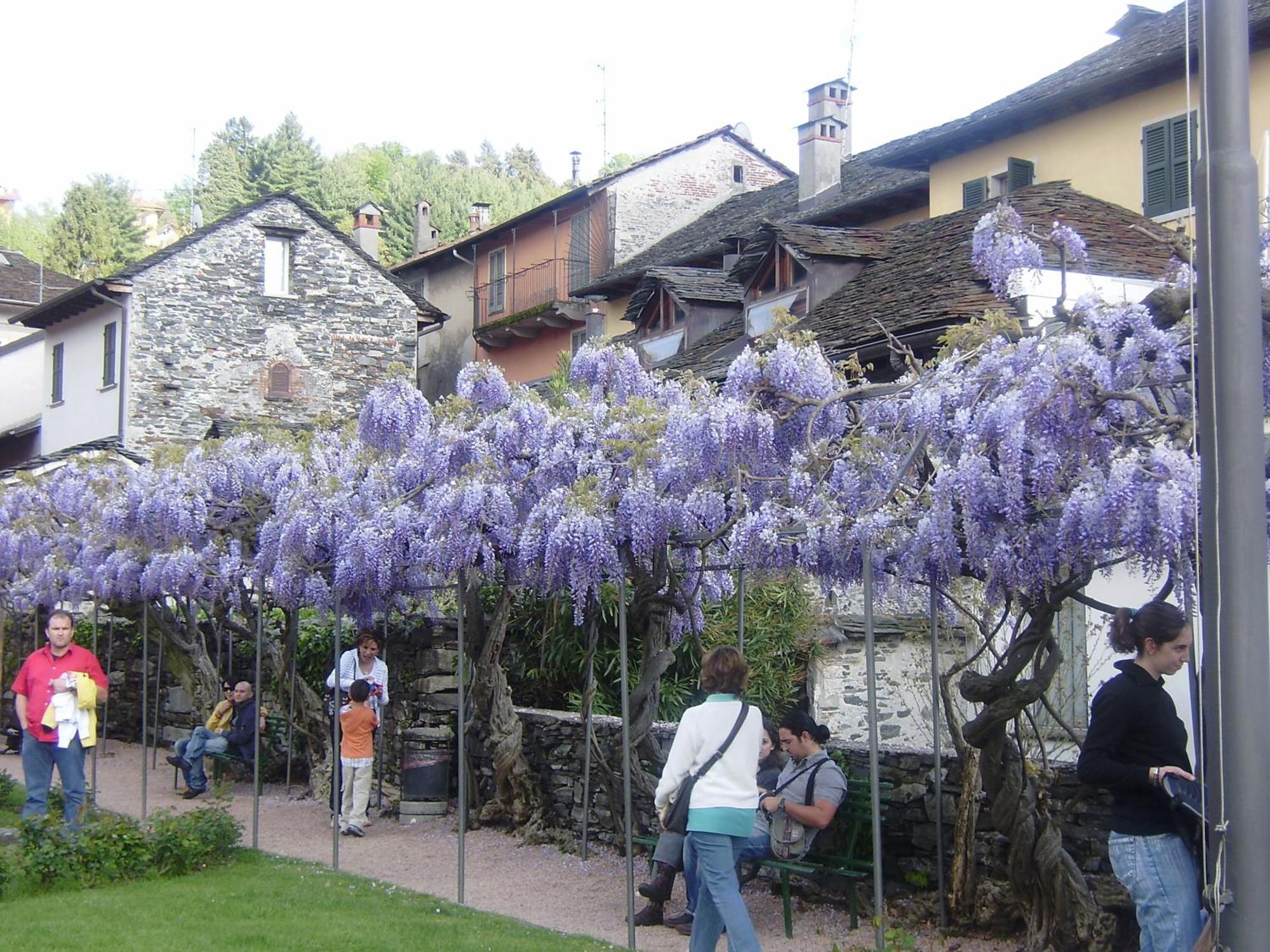 Appartamenti Orta Orta San Giulio Exterior photo